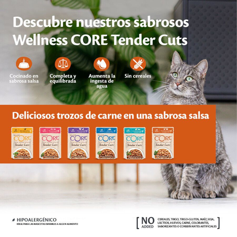 Wellness Core Tender Cuts pollo y salmón sobre en salsa para gatos thumbnail