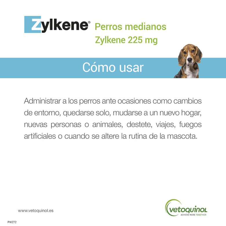 Vetoquinol Zylkene suplemento natural calmante en cápsulas para perros y gatos,  Imagen numero 4 Vetoquinol Zylkene suplemento natural calmante en cápsulas para perros y gatos, , large Imagen numero 4