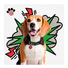 Collar marvel para perros. Varias tallas.  image number null