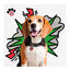 Collar marvel para perros. Varias tallas.  indicador imagen numero 2