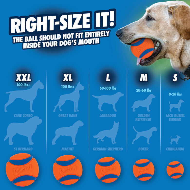 Chuckit! Ultra Pelota Grande con Brillo para perros thumbnail