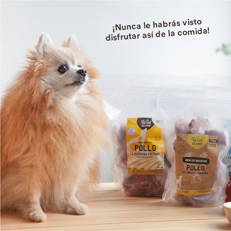 Wild Balance Barf Menú Completo Pack Iniciación comida congelada para perros thumbnail