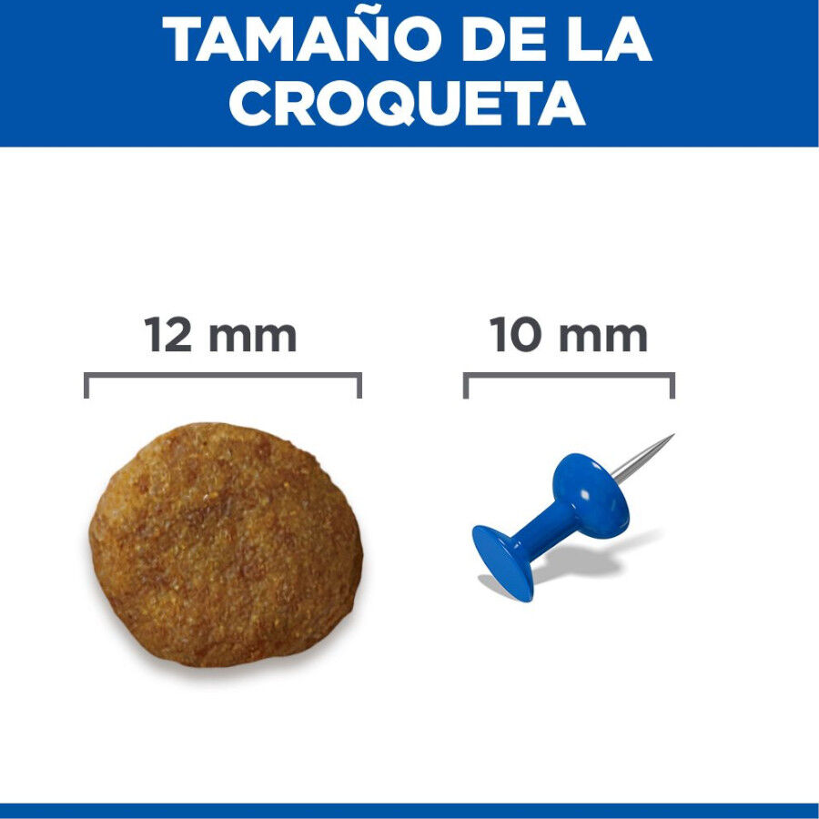Hill&#039;s Science Plan Mature Adult Medium pienso pollo para perros de razas medianas thumbnail