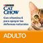 85 g Cat Chow Salmón en Gelatina sobres para gatos, , large indicador imagen numero 2