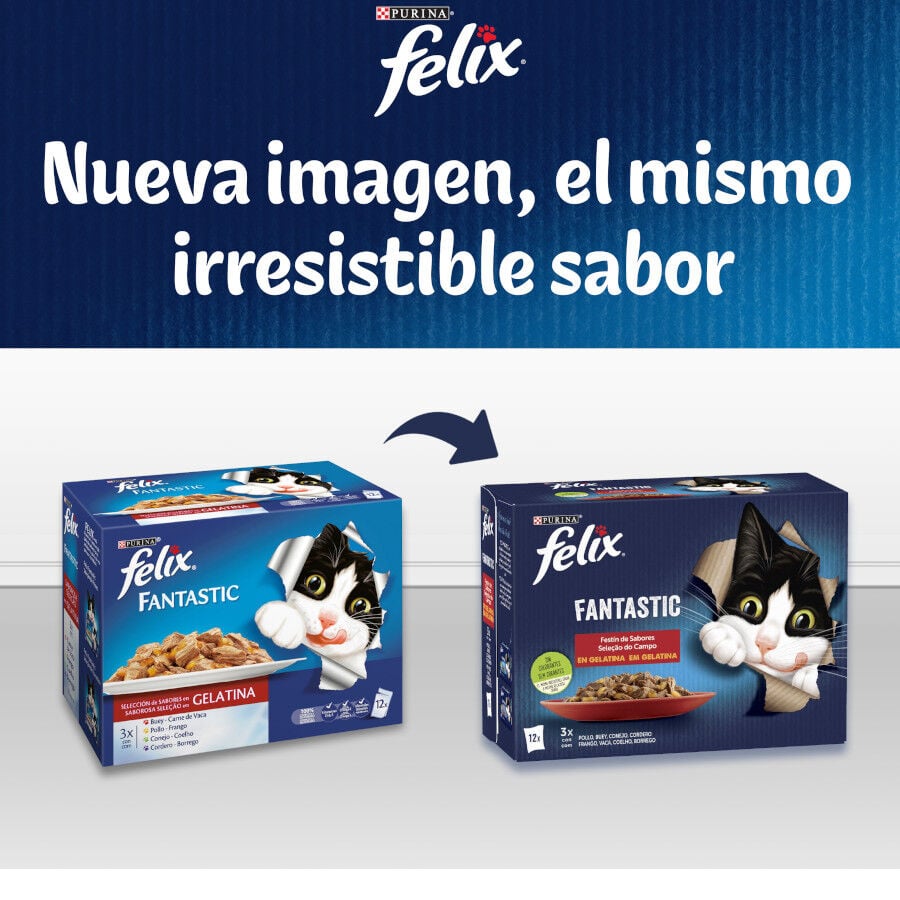 12 sobres x 85 g Felix Fantastic Selecciones Favoritas sobres en gelatina , , large Imagen numero 8