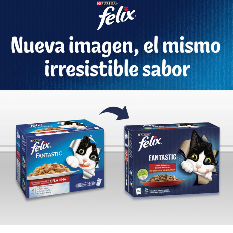 Felix Fantastic Selecciones Favoritas sobres en gelatina thumbnail