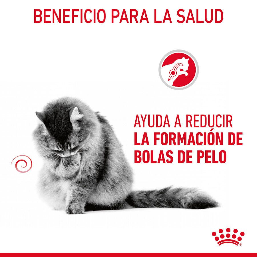 Royal Canin Hairball Care Sobre en Gelatina para gatos thumbnail