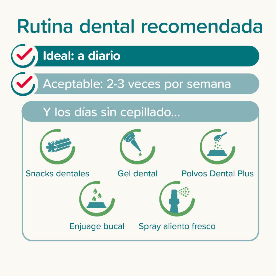 Beaphar Pasta Dental  Menta  Perejil para Perros y Gatos thumbnail