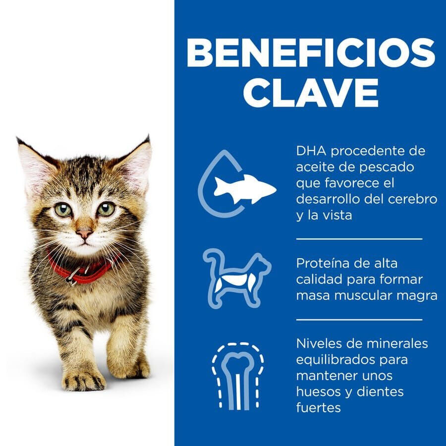300 g Hill's Science Plan Kitten At&uacute;n pienso para gatos, , large Imagen numero 4