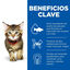 1.5 kg Hill's Science Plan Kitten Atún pienso para gatos, , large indicador imagen numero 4