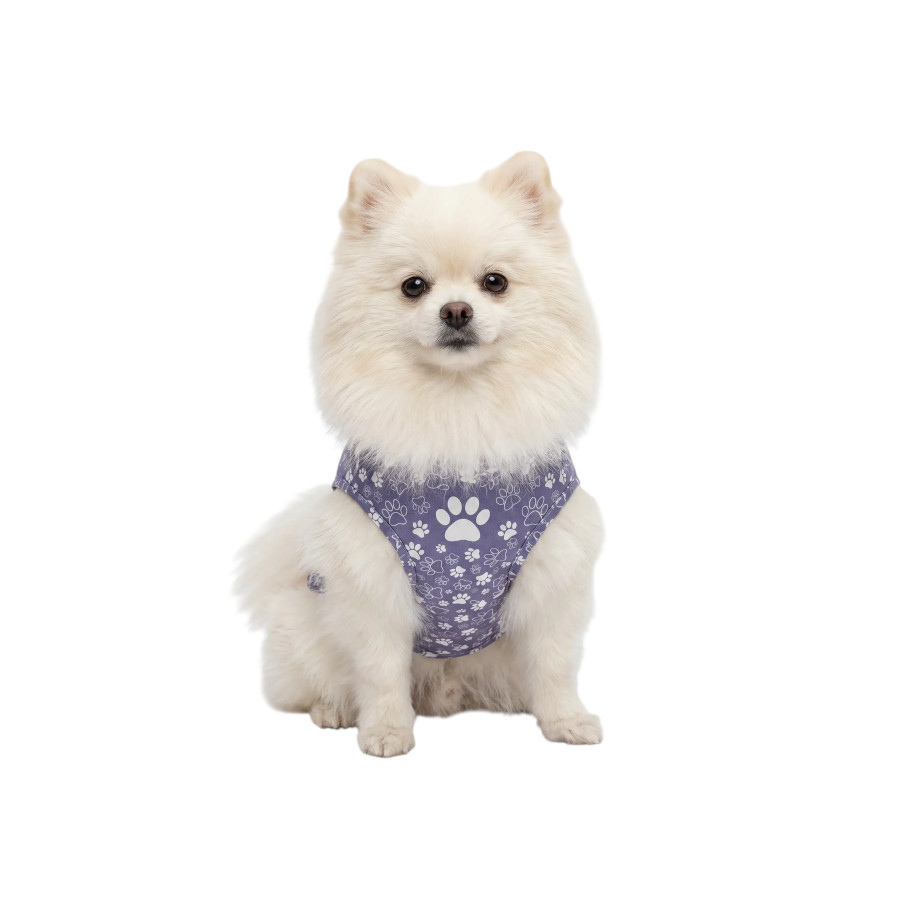 Gotoo Impermeable Estampado Huellas para perros, , large Imagen numero 7