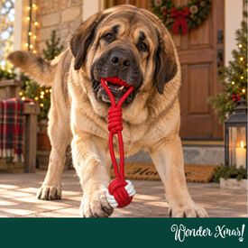 Wonder Christmas Pelota con Cuerda Juguete para perros