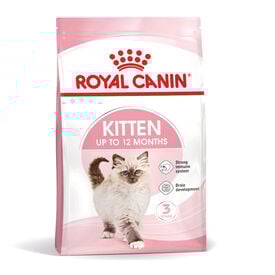 Royal Canin Kitten pienso para gatos