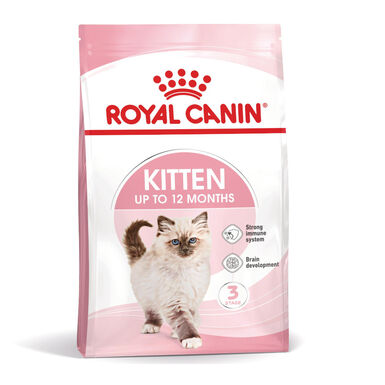 Royal Canin Kitten pienso para gatos