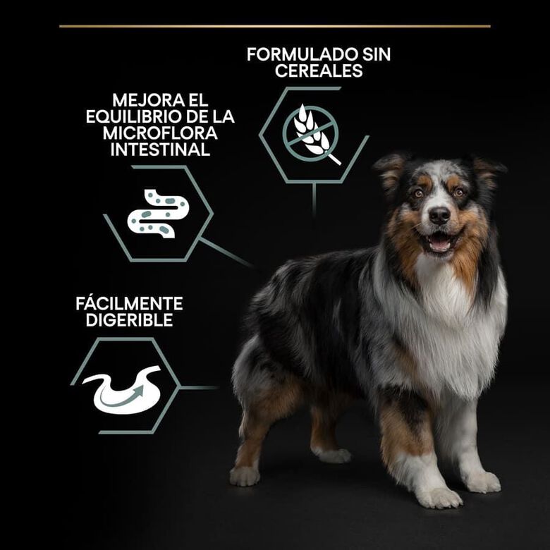 Pro Plan Adult Medium y Large Digestión Pavo pienso para perros thumbnail