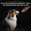 Pro Plan Relax + para perros, , large indicador imagen numero 3