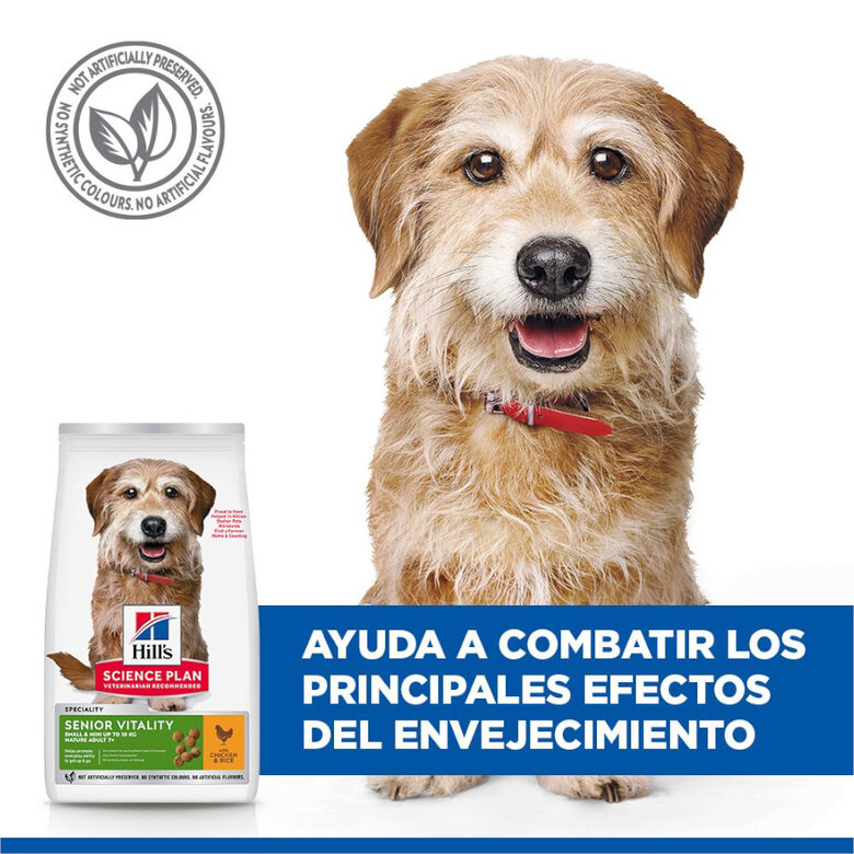 1.5 kg Hill's Science Plan Youthful Vitality Adult +7 Small y Mini Pollo pienso para perros,  Imagen numero 7 1.5 kg Hill's Science Plan Youthful Vitality Adult +7 Small y Mini Pollo pienso para perros, , large Imagen numero 7
