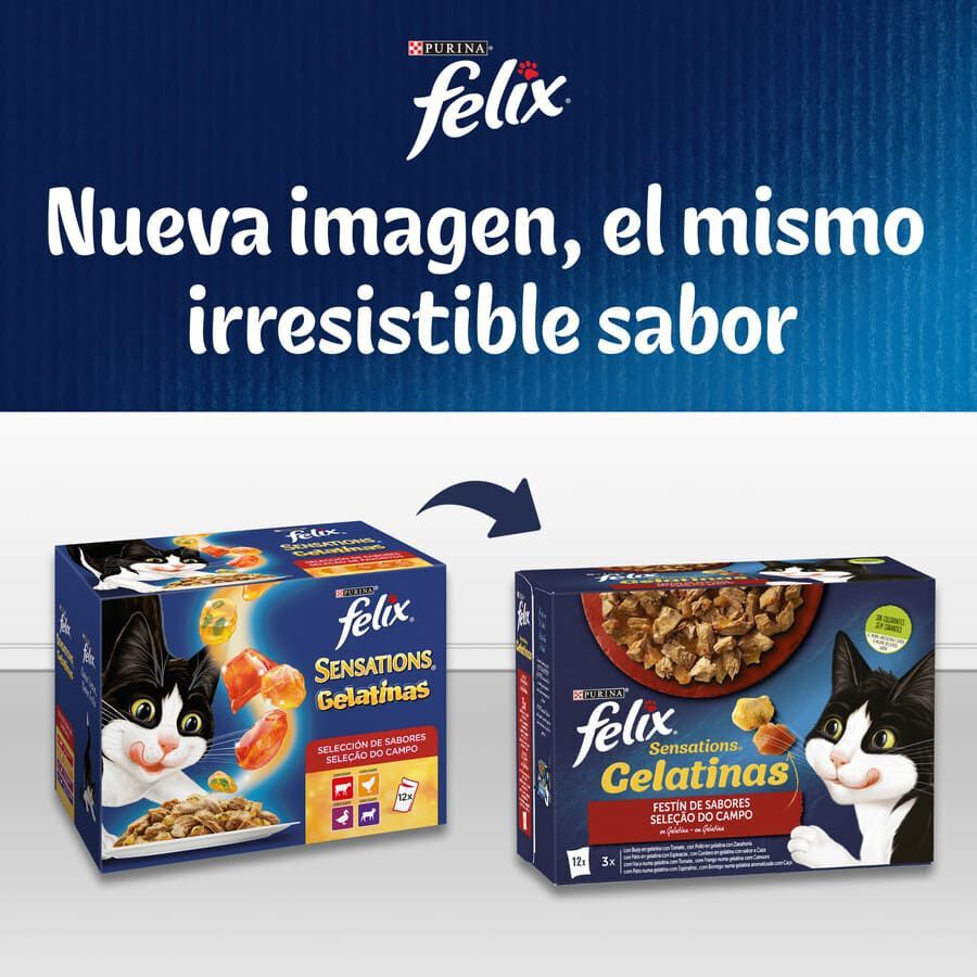 Felix Sensations Festín del Mar sobres en gelatina para gatos thumbnail