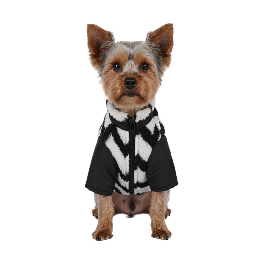 Gotoo Chaqueta Estampado ZigZag para perros, , large Imagen numero 7