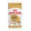 140 g Royal Canin Labrador Sobres para perros, , large indicador imagen numero 1