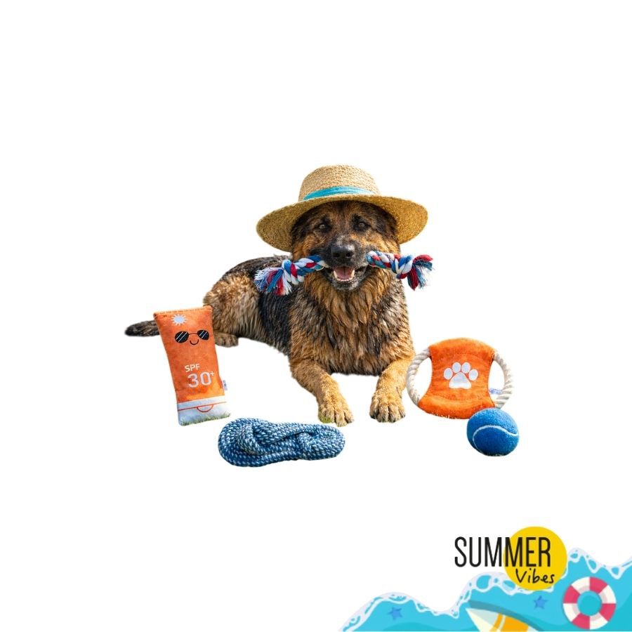 Summer Vibes The Beach Club Set Juguetes para perros, , large Imagen numero 1