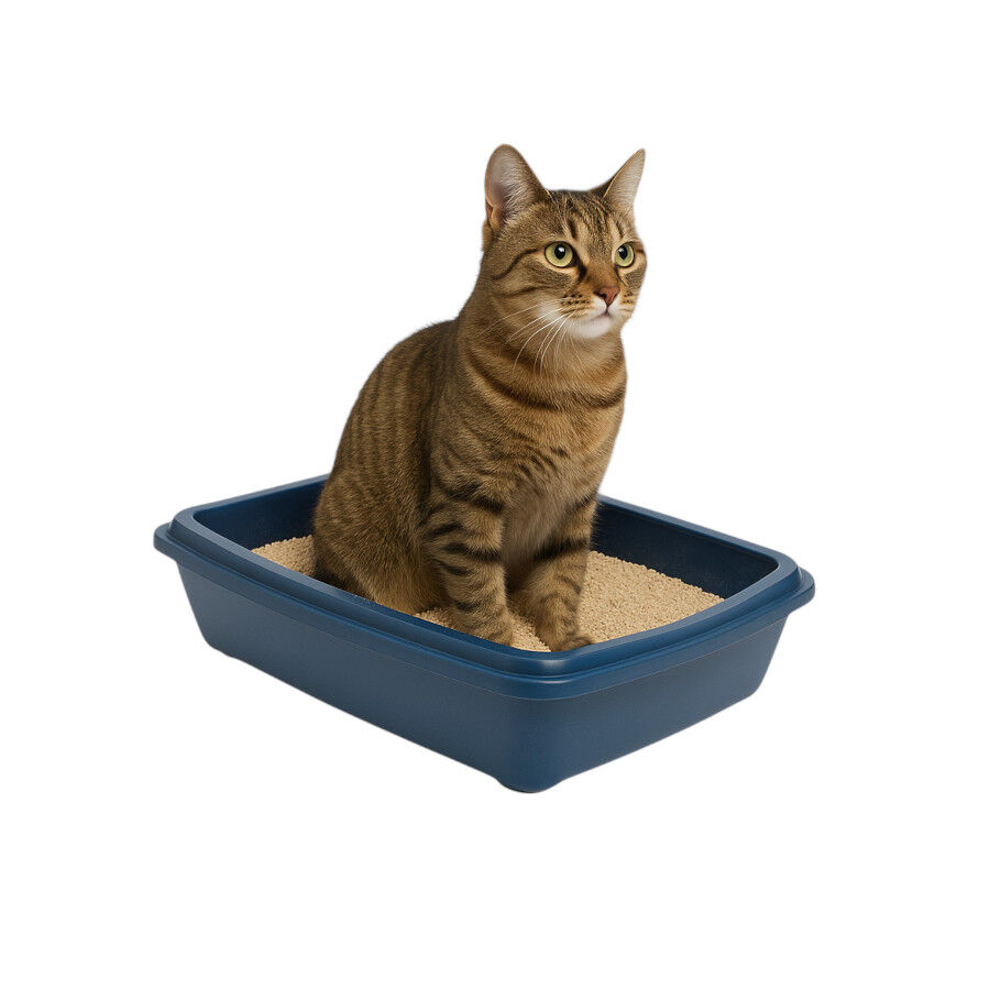 Nice Care Bandeja Sanitaria Azul para gatos, , large Imagen numero 1