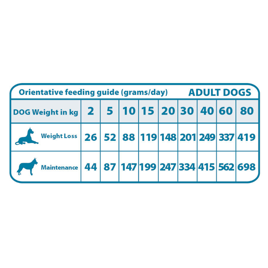 Natural Greatness Joint &amp; Mobility Salmón Pienso Hipoalergénico para perros thumbnail