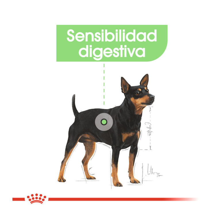 Royal Canin Digestive Care Mini pienso para perros thumbnail