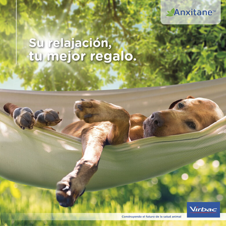 Virbac Anxitane Relajantes en Comprimidos para perros y gatos thumbnail