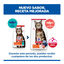 1.5 kg Hill's Science Plan Adult Pienso Salm&oacute;n para gatos, , large indicador imagen numero 3