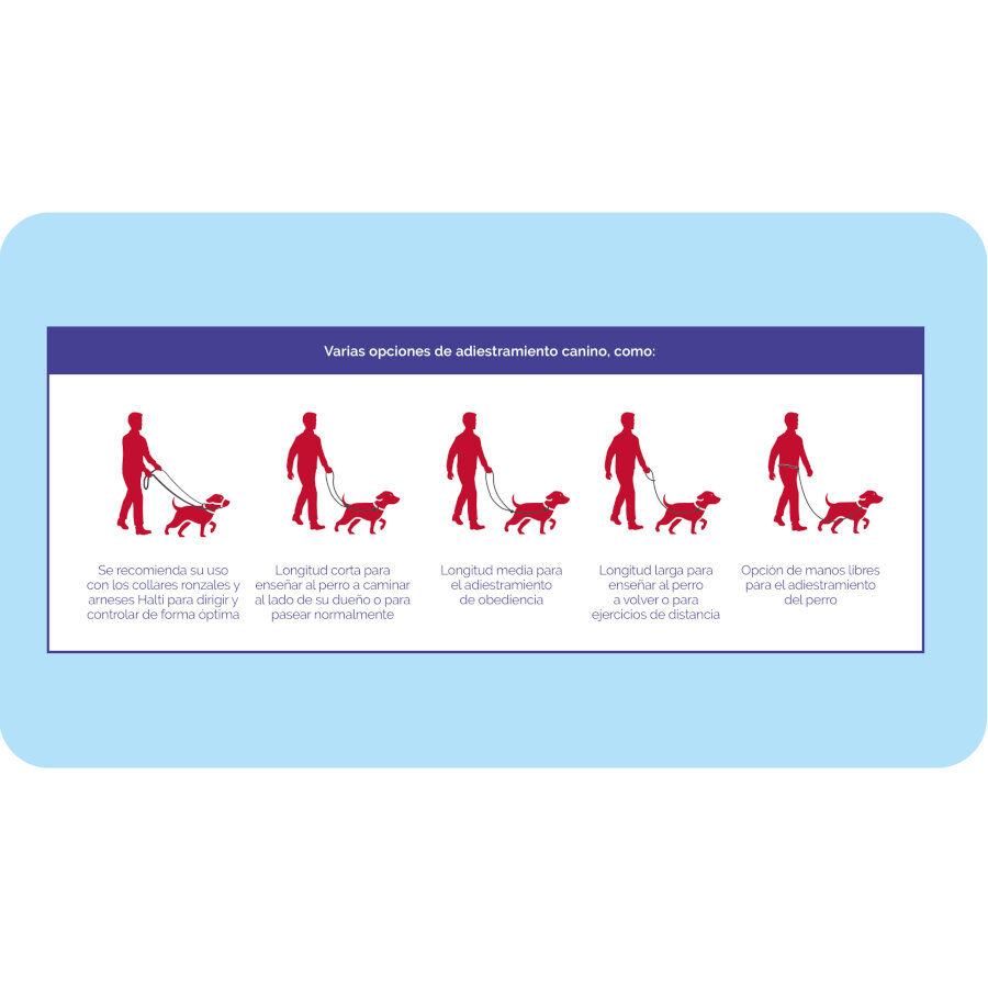 Halti correa de adiestramiento negra para perros medianos y peque&ntilde;os, , large Imagen numero 5