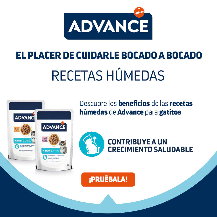 Advance Kitten Pollo en salsa sobre para gatitos thumbnail