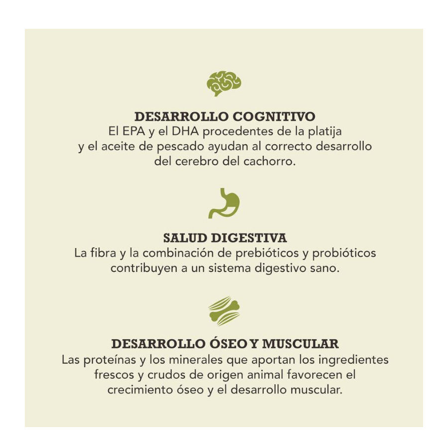 Acana Puppy &amp; Junior pienso para perros thumbnail