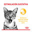 85 g Royal Canin Adult Sensory Taste salsa sobre para gatos, , large indicador imagen numero 4