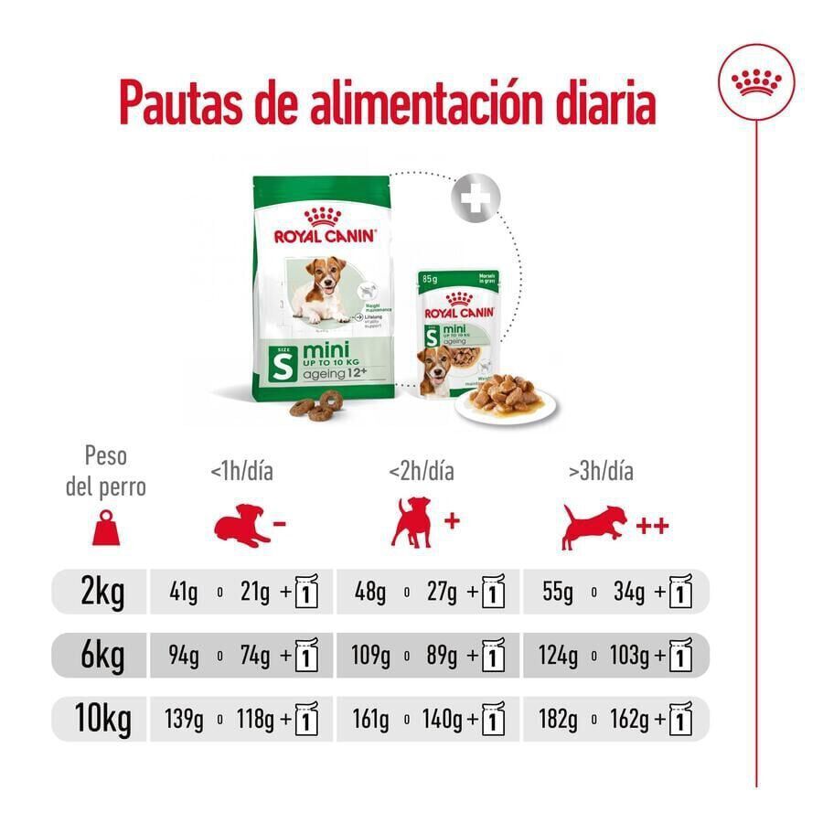 Royal Canin Mini Ageing +12 pienso para perros thumbnail