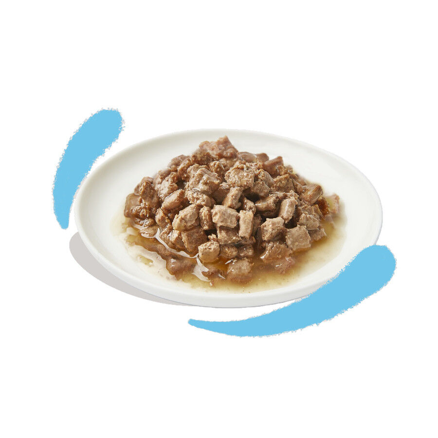 Edgard &amp; Cooper Trocitos de Pollo en Salsa lata para gatos thumbnail