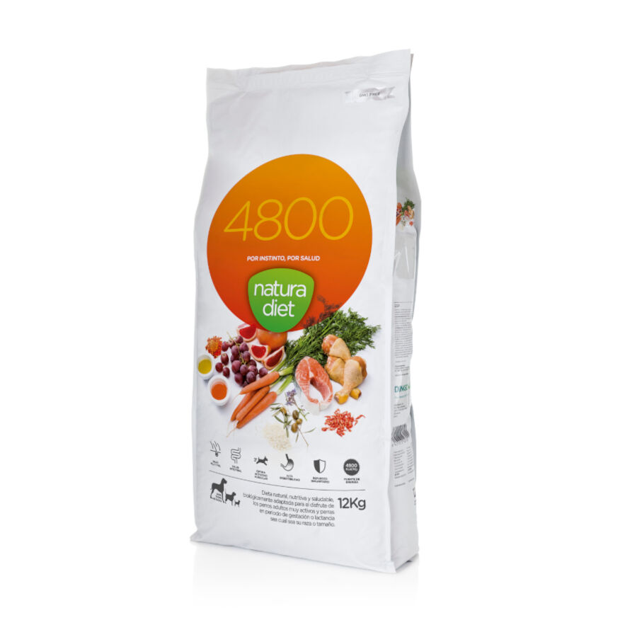 Natura Diet 4800 pienso para perros