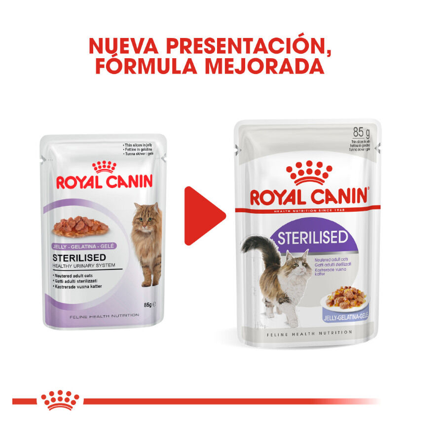 Royal Canin Sterilised gelatina sobres para gato thumbnail
