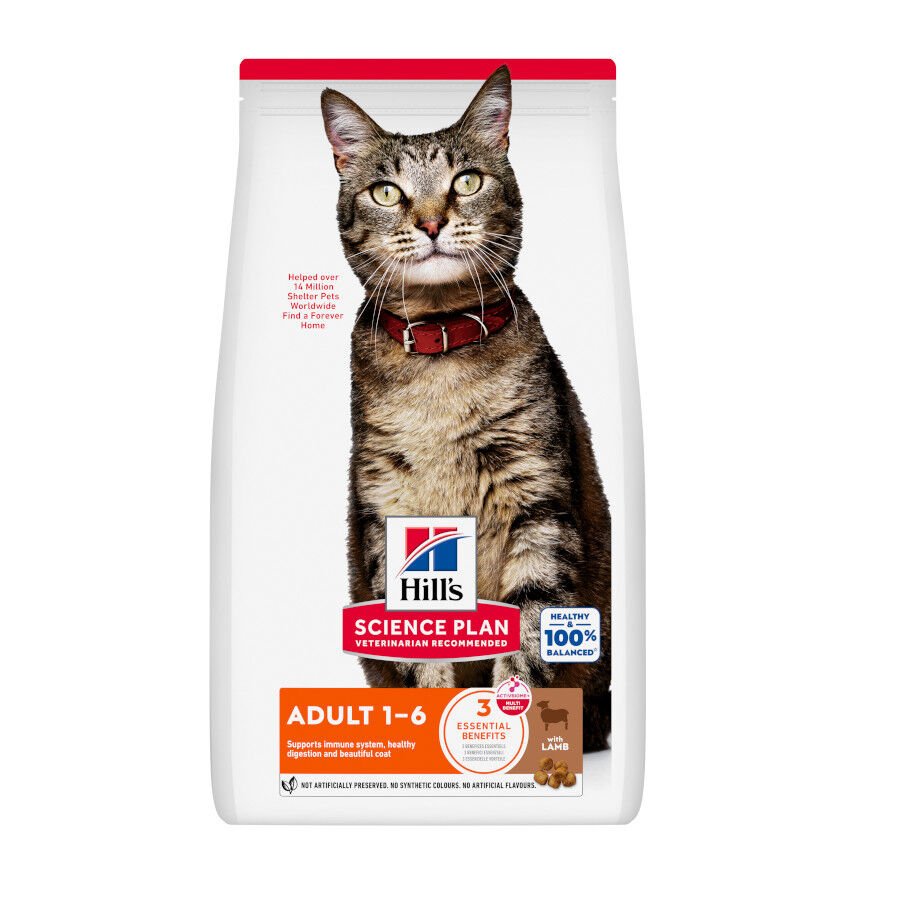Hill's Science Plan Adult Pienso cordero y arroz para gatos