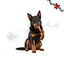 1 pack x 10 uds. Wonder Christmas Rollos Envueltos con Pollo Snacks para perros, , large indicador imagen numero 1