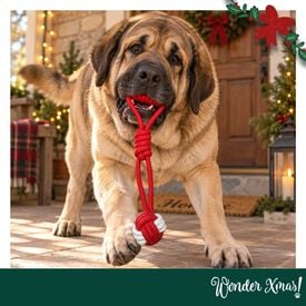 Wonder Christmas Pelota con Cuerda Juguete para perros