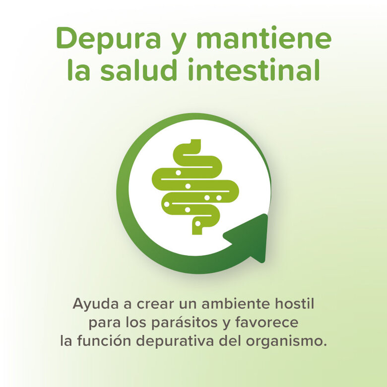 Beaphar VERMIpure Repelente Interno Natural en comprimidos para gatos y gatitos,  Imagen numero 5 Beaphar VERMIpure Repelente Interno Natural en comprimidos para gatos y gatitos, , large Imagen numero 5