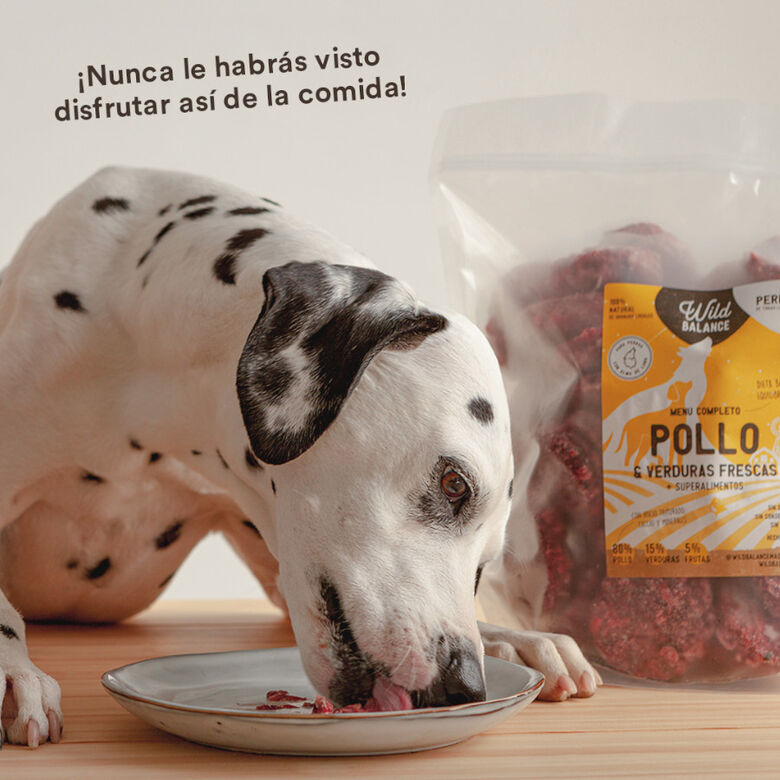 Wild Balance Menú Barf pollo y verduras comida congelada para perros thumbnail