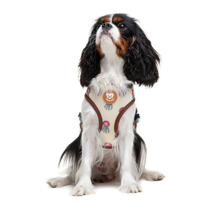 Dukier Arn&eacute;s Reversible Estampado Tortugas para perros, , large Imagen numero 3