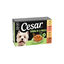 4 tarrinas x 150 g Cesar Recetas de la huerta Tarrina en Pat&eacute; y Gelatina para Perros , , large indicador imagen numero 1