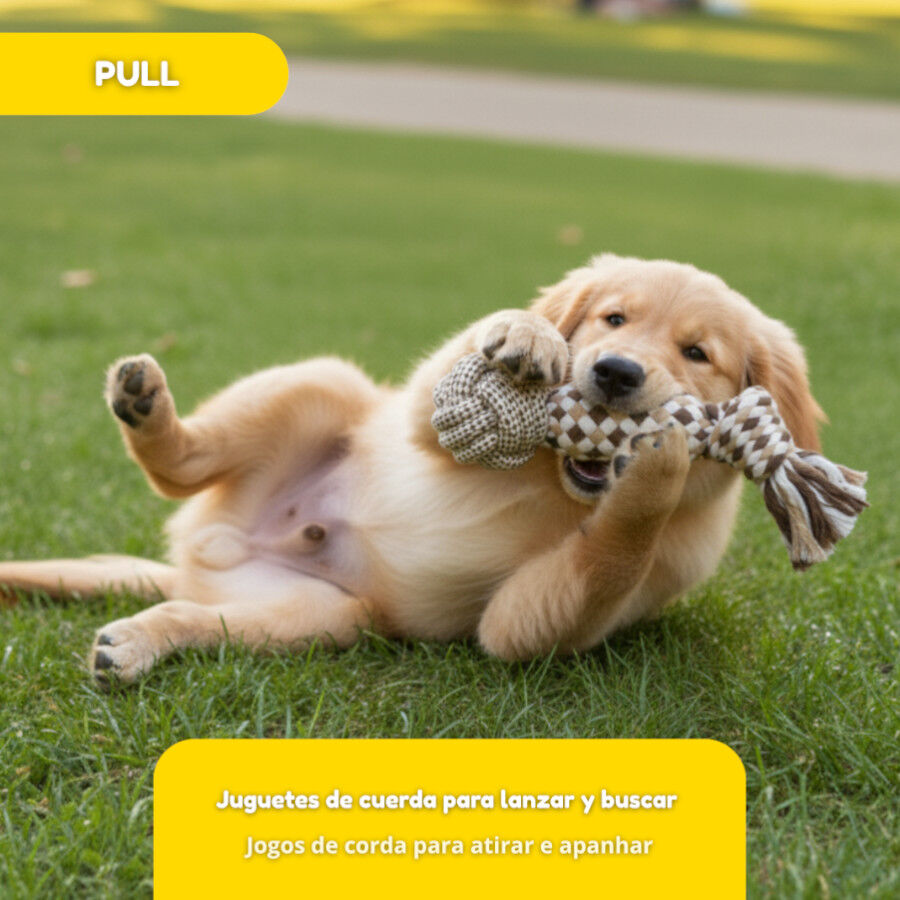 Tootoy! Mordedor de Cuerda con Pelota para perros thumbnail