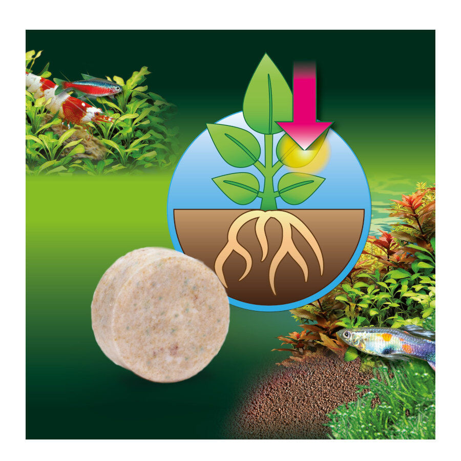 JBL Proflora Ferropol Tabletas Fertilizantes para plantas para acuarios de agua dulce thumbnail