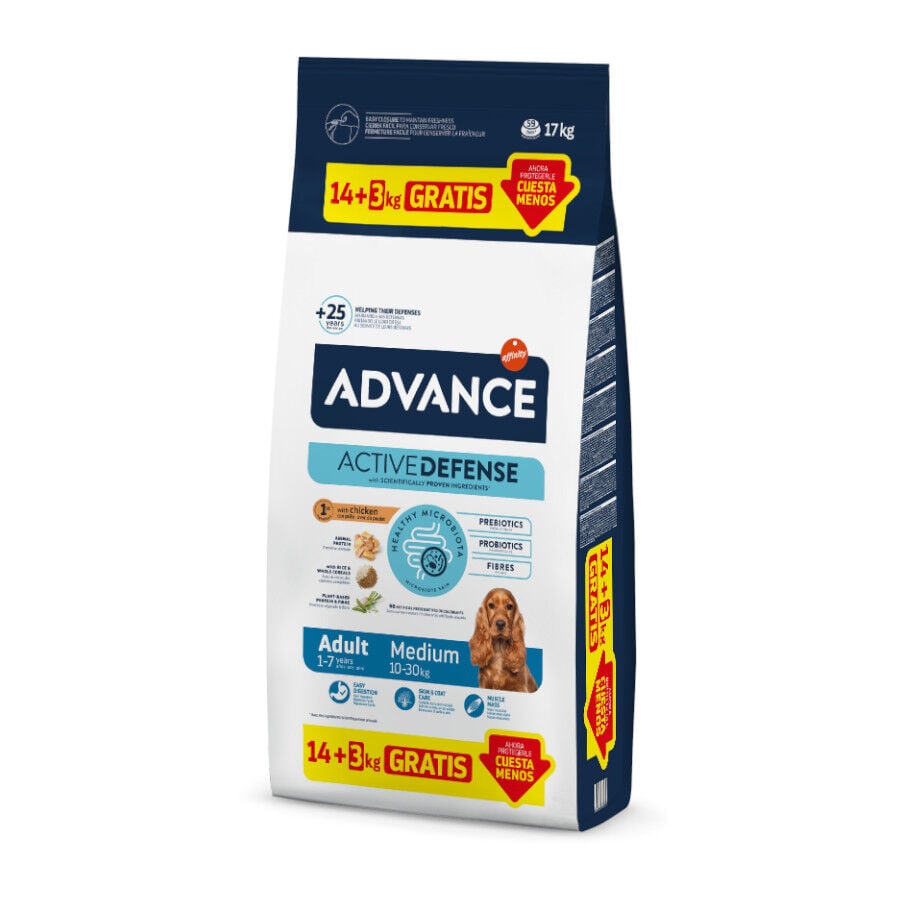 Advance Active Defense Medium Adult Pollo y Arroz pienso para perros
