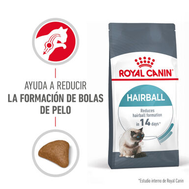Royal Canin Intense Hairball pienso para gatos
