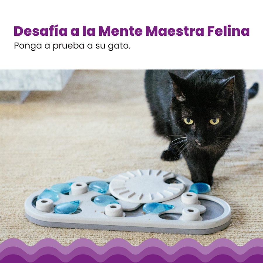 Catstages Nina Ottosson Puzzle &amp; Play Rainy Day Juguete de Inteligencia para gatos thumbnail